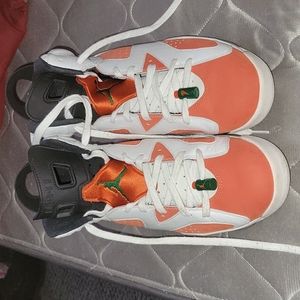 Jordan 6 gatorade